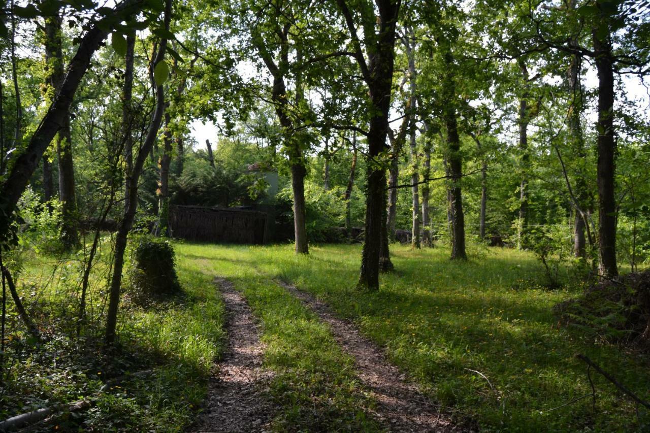 Вилла Ferme De Mouline Sainte-Foy-la-Longue Экстерьер фото